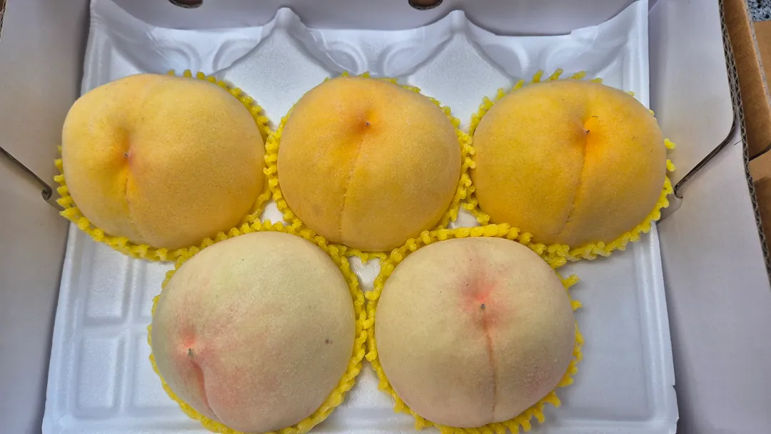 고객이 남긴 복숭아 후기 사진