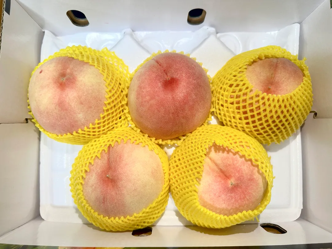 고객이 남긴 복숭아 후기 사진